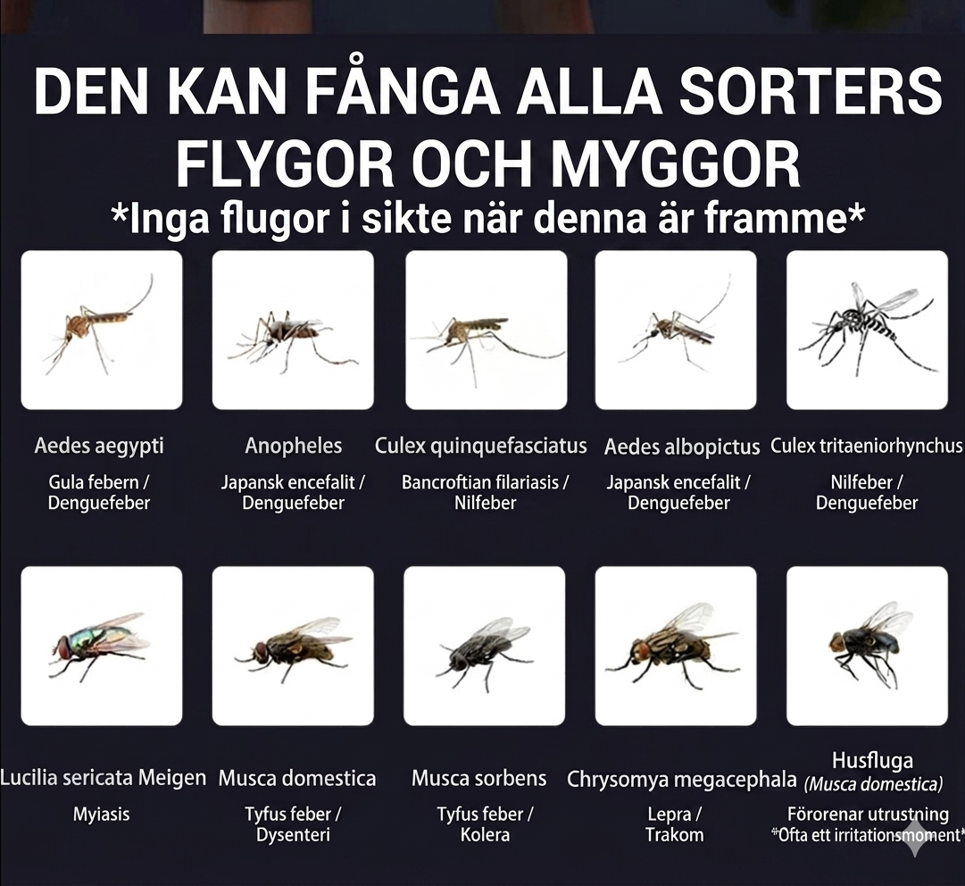 NordZap™ Myggfälla  –  Tyst & Kemikaliefri